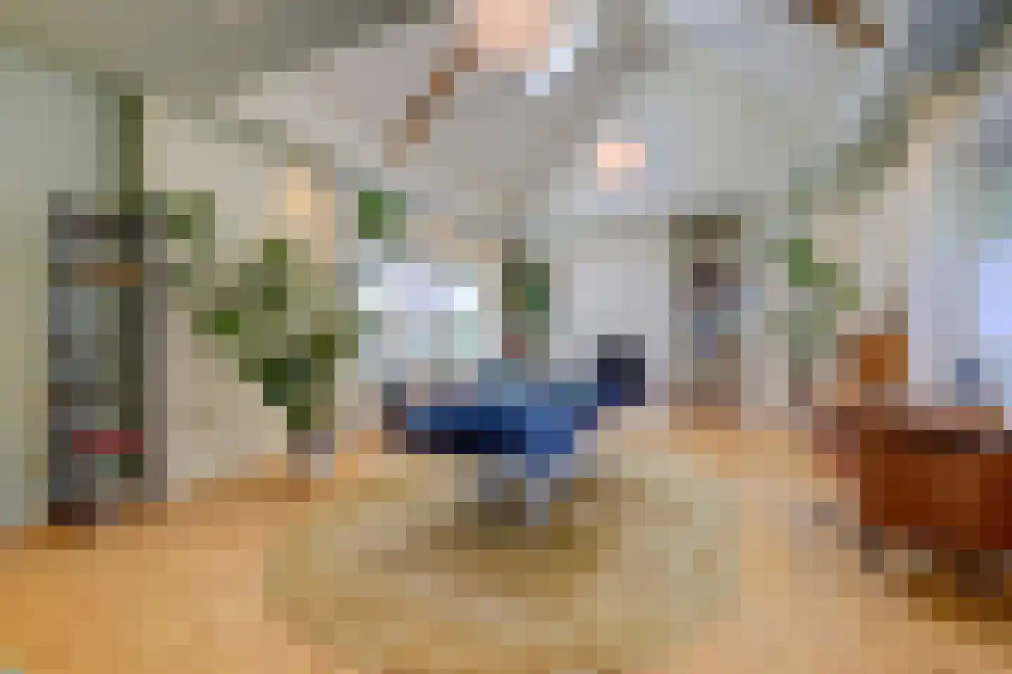 Domineesteeg 16 Ruurlo thumbnail 27