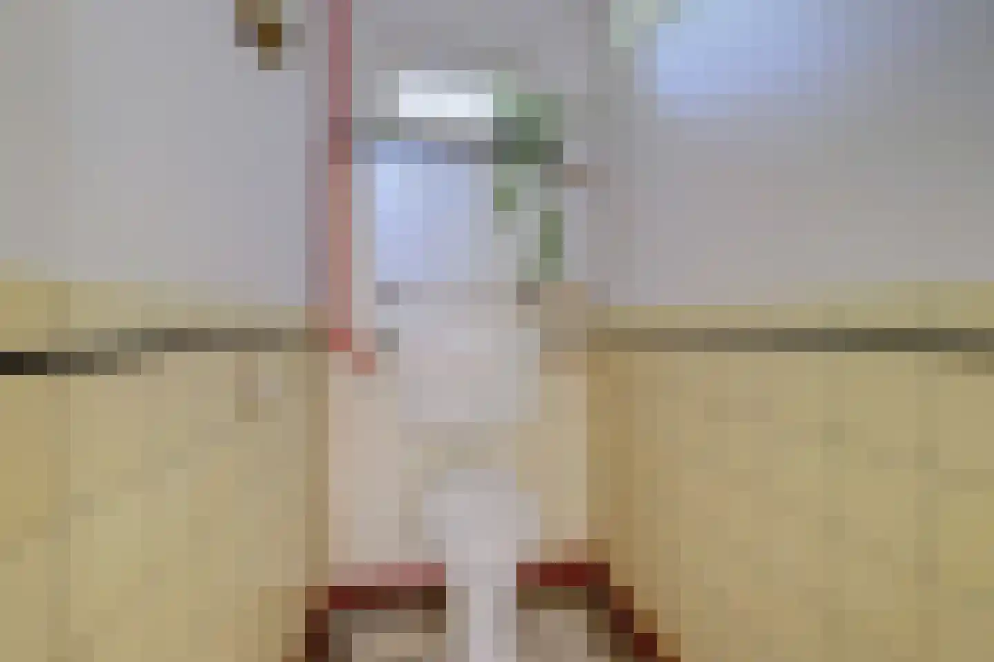 Domineesteeg 16 Ruurlo thumbnail 30