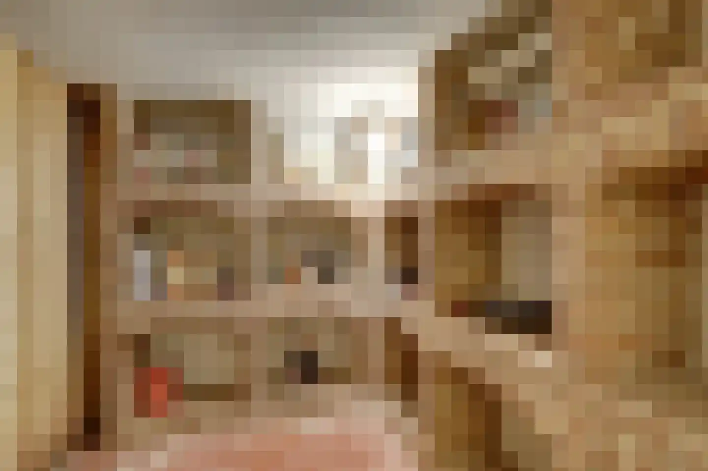 Domineesteeg 16 Ruurlo thumbnail 31