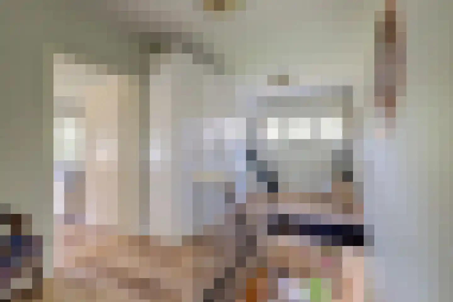 Domineesteeg 16 Ruurlo thumbnail 32