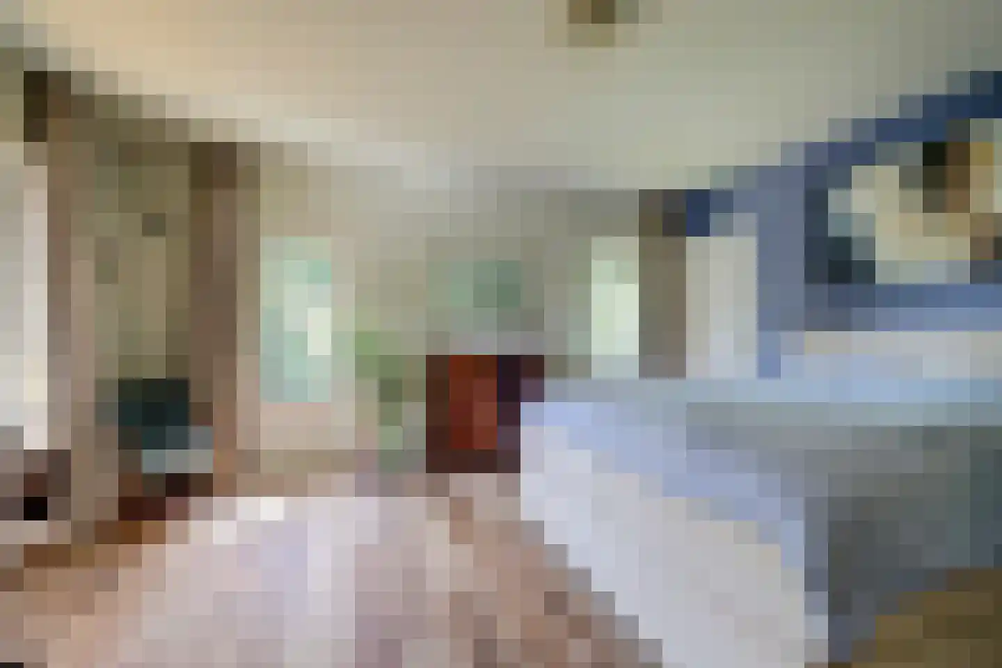 Domineesteeg 16 Ruurlo thumbnail 33