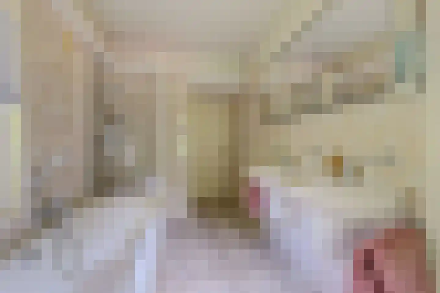Domineesteeg 16 Ruurlo thumbnail 35