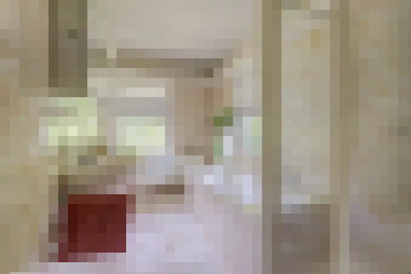 Domineesteeg 16 Ruurlo thumbnail 36