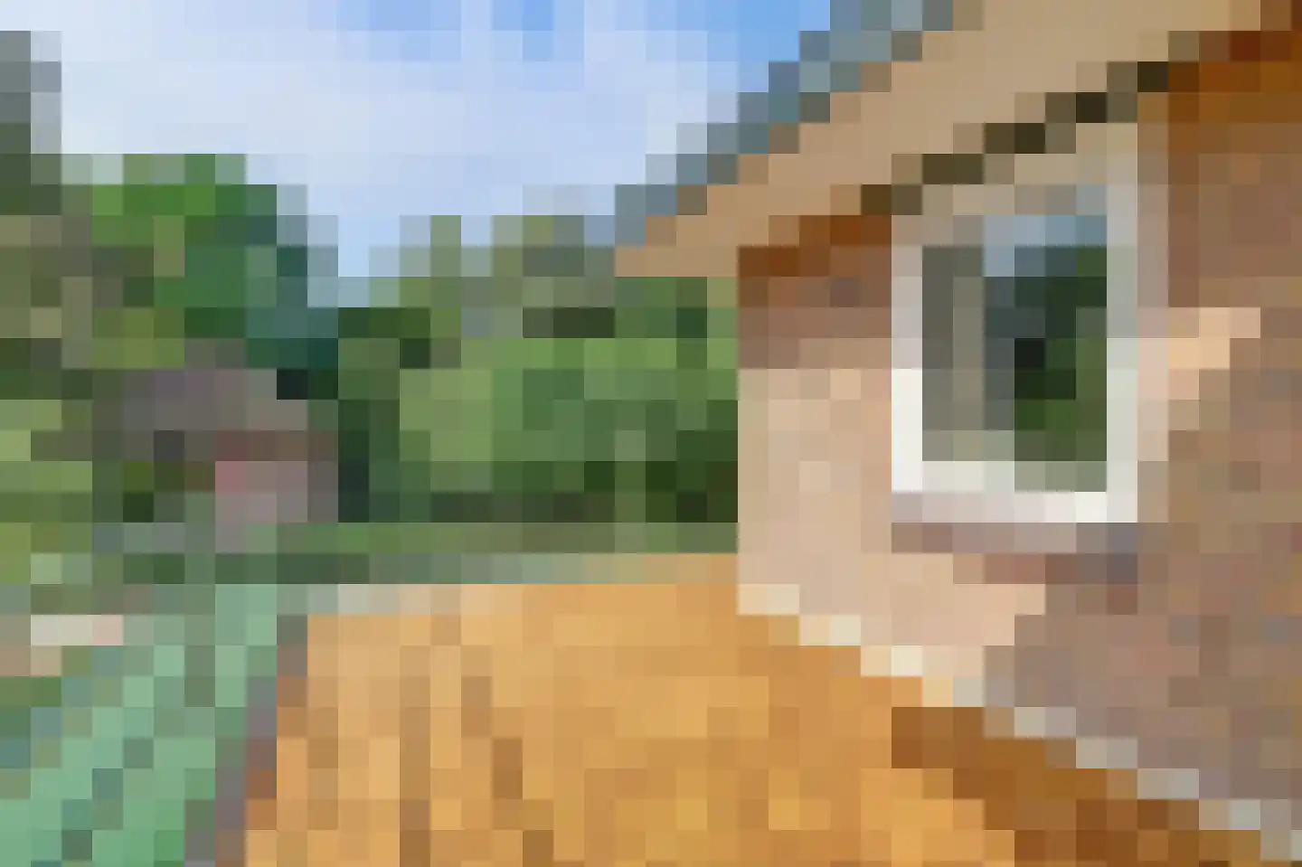 Domineesteeg 16 Ruurlo thumbnail 38