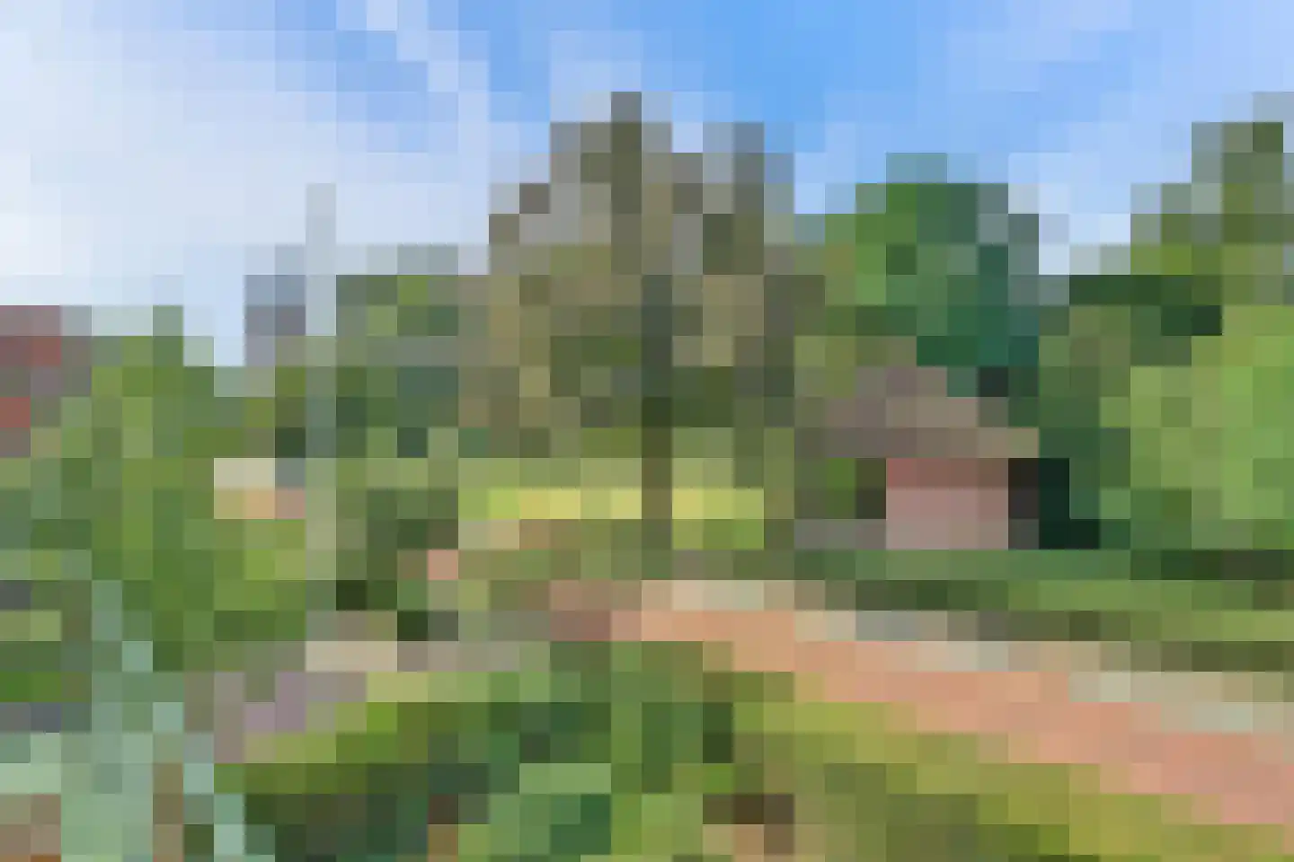 Domineesteeg 16 Ruurlo thumbnail 39