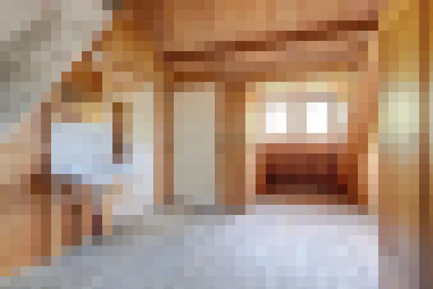 Domineesteeg 16 Ruurlo thumbnail 44