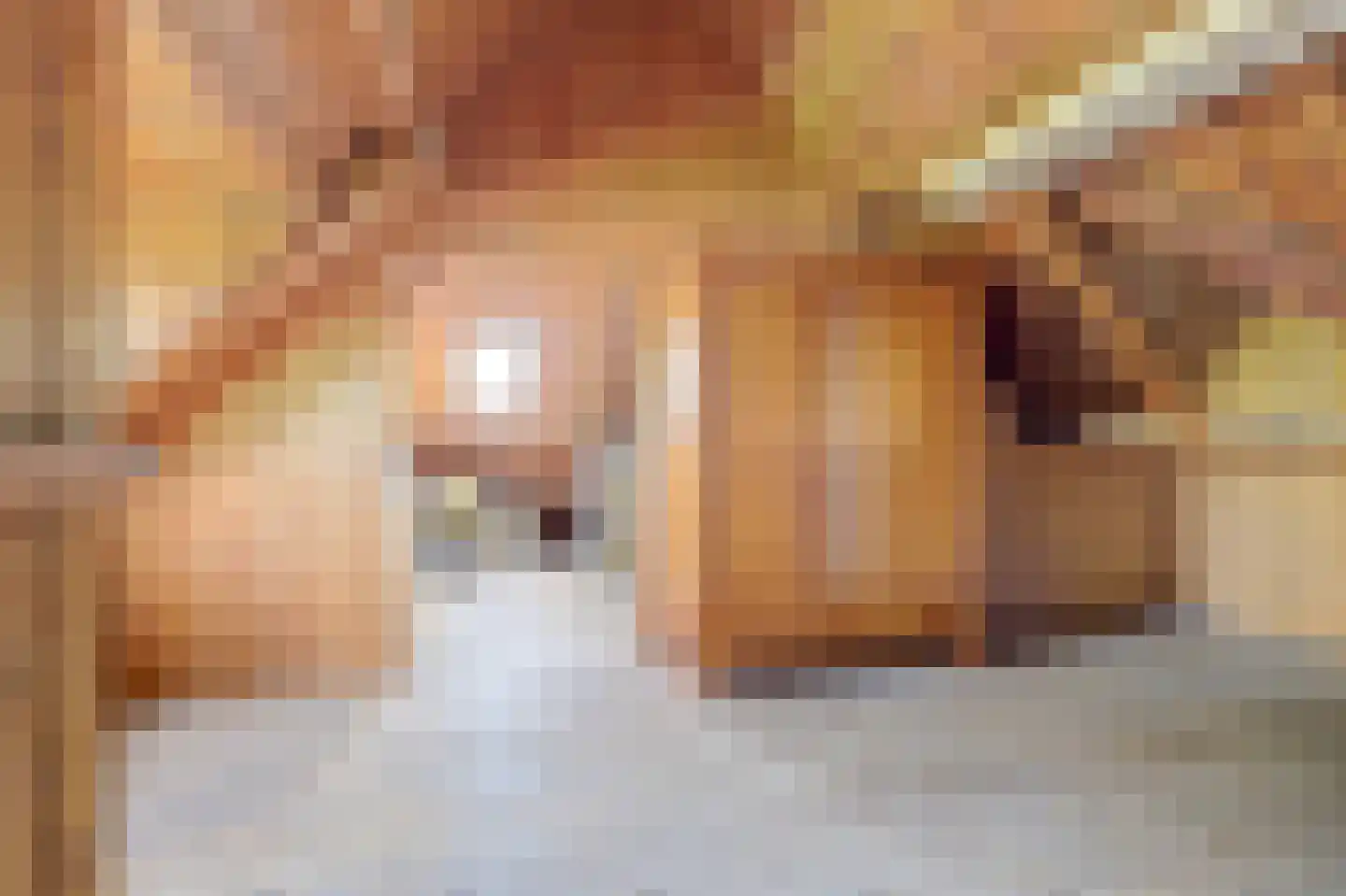 Domineesteeg 16 Ruurlo thumbnail 45