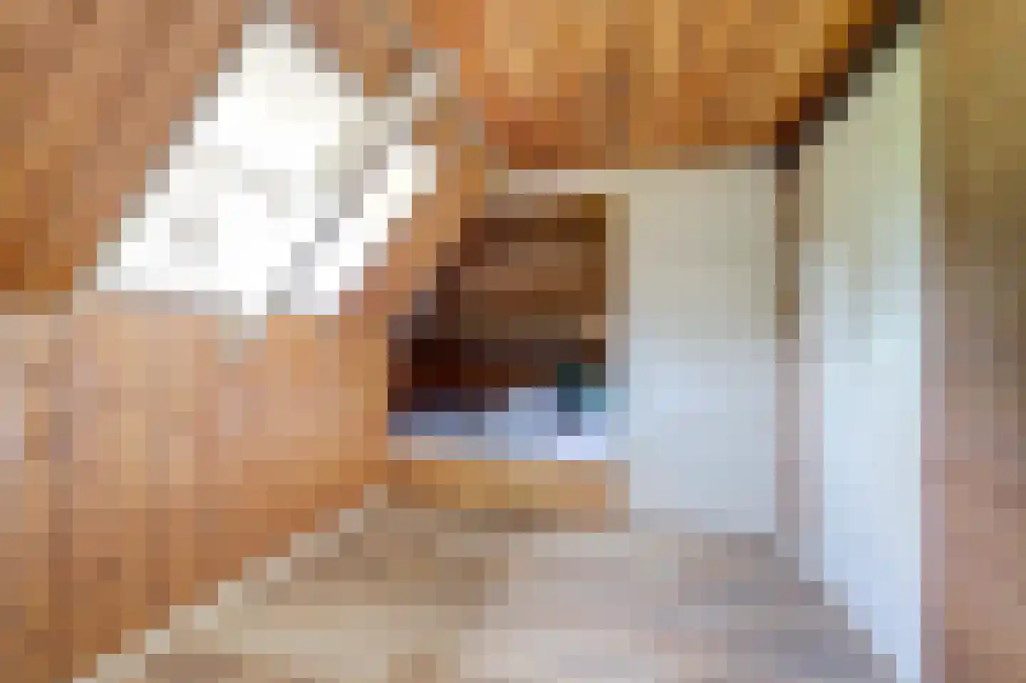 Domineesteeg 16 Ruurlo thumbnail 46