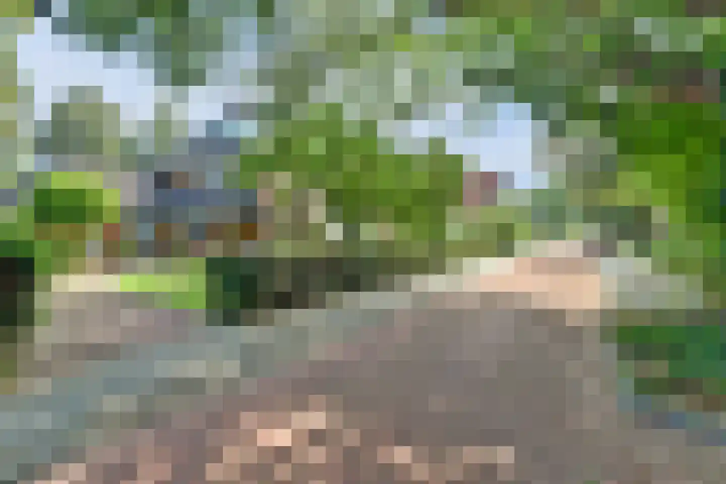 Domineesteeg 16 Ruurlo thumbnail 47
