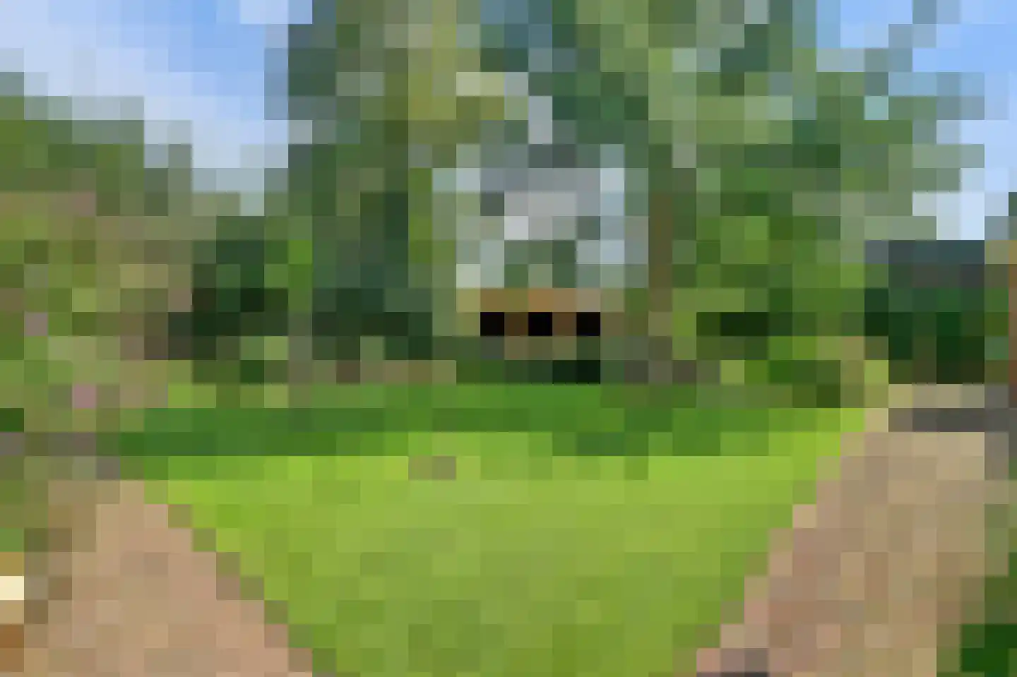 Domineesteeg 16 Ruurlo thumbnail 53
