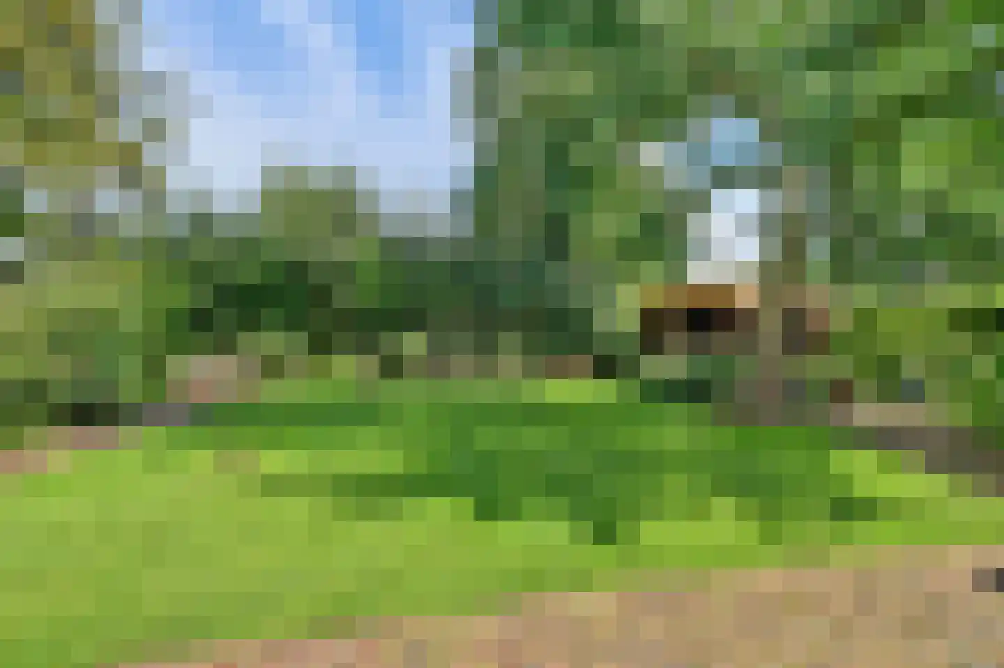 Domineesteeg 16 Ruurlo thumbnail 54