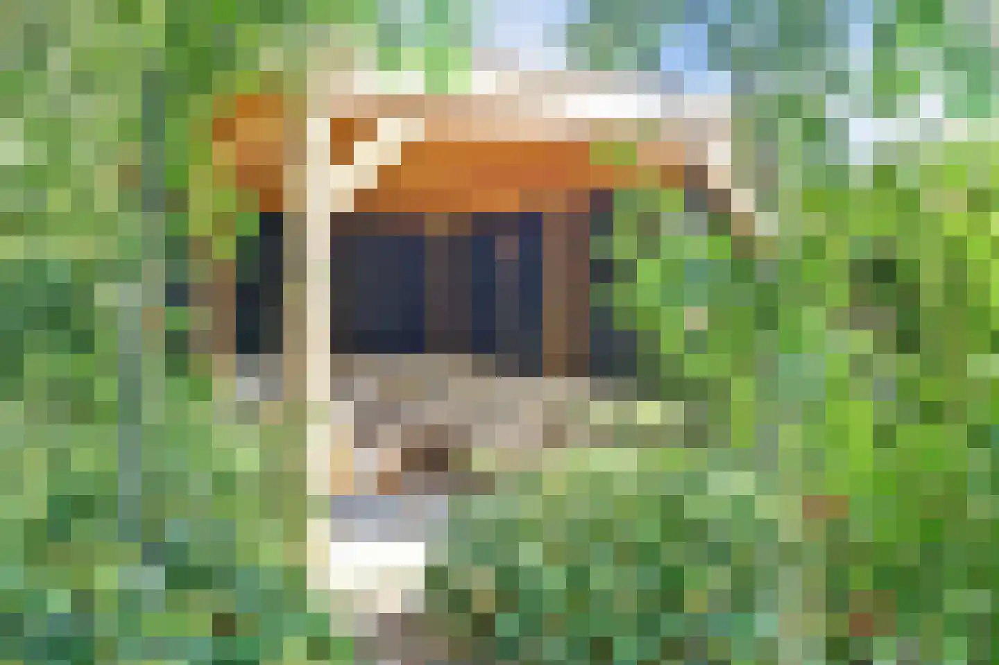 Domineesteeg 16 Ruurlo thumbnail 55