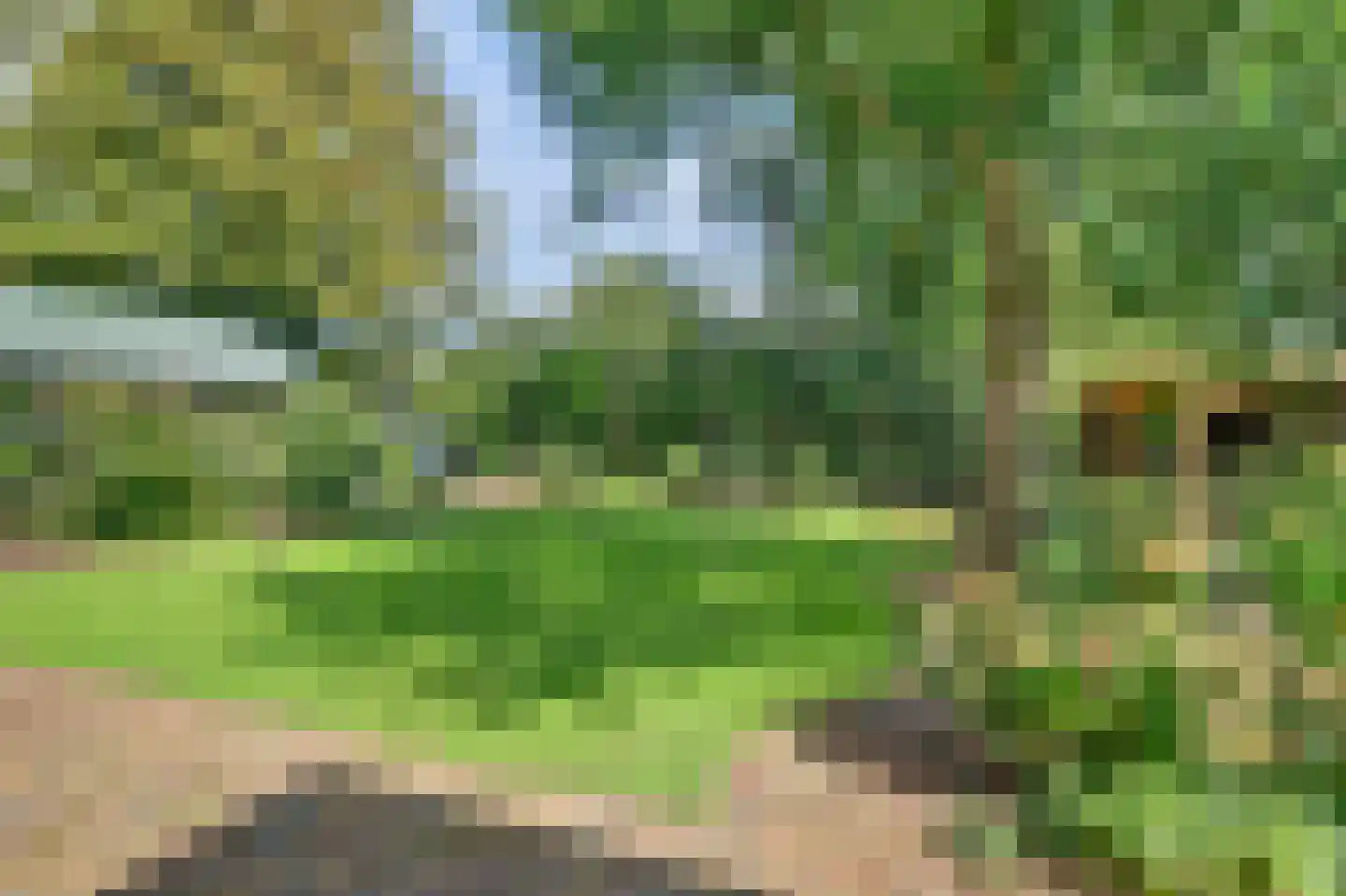 Domineesteeg 16 Ruurlo thumbnail 56