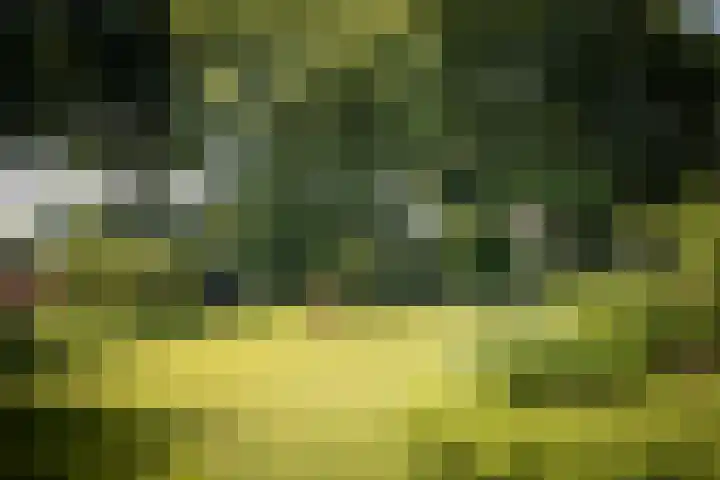 Domineesteeg 2 Gorssel thumbnail 10
