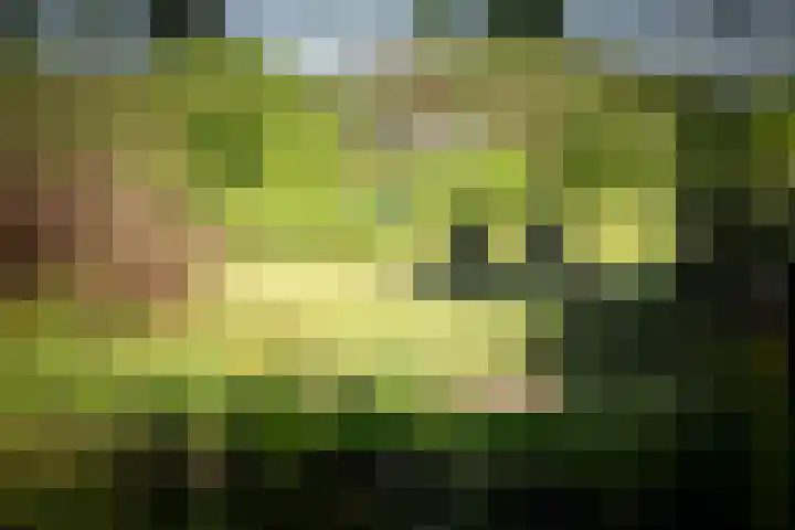 Domineesteeg 2 Gorssel thumbnail 11