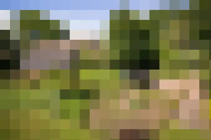 Domineesteeg 2 Gorssel thumbnail 12