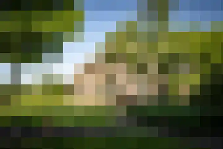 Domineesteeg 2 Gorssel thumbnail 13