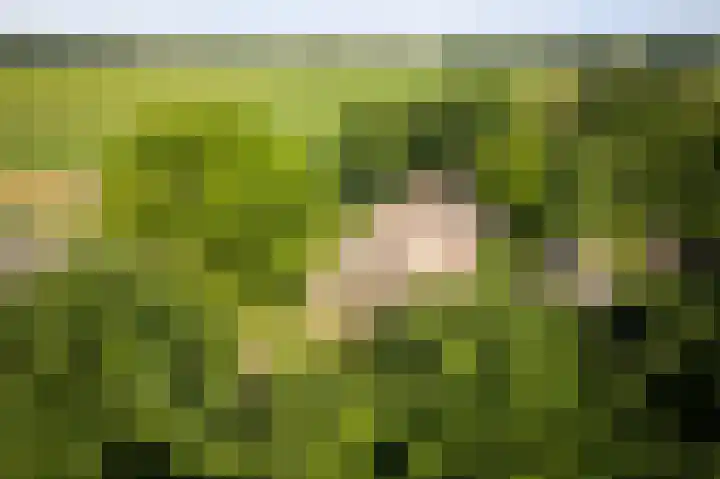 Domineesteeg 2 Gorssel thumbnail 14