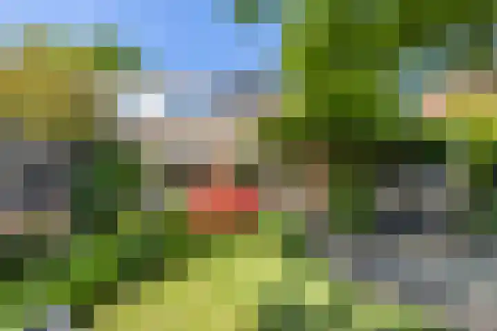 Domineesteeg 2 Gorssel thumbnail 16