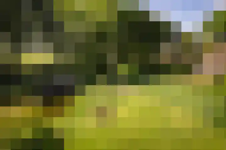 Domineesteeg 2 Gorssel thumbnail 16