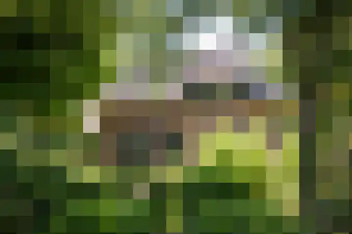 Domineesteeg 2 Gorssel thumbnail 17