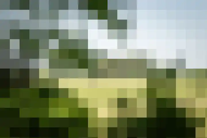 Domineesteeg 2 Gorssel thumbnail 19