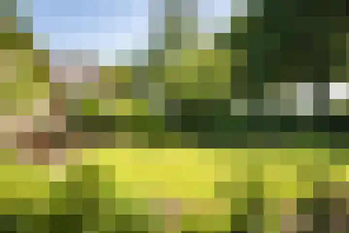 Domineesteeg 2 Gorssel foto 2