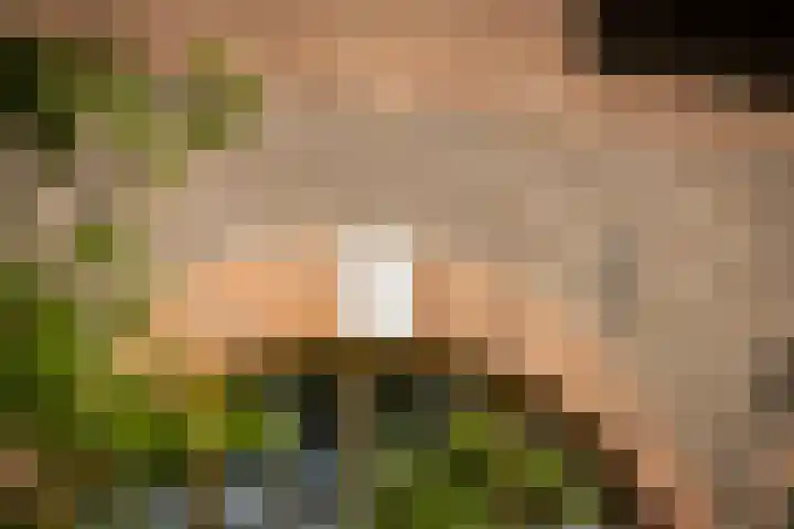 Domineesteeg 2 Gorssel thumbnail 21