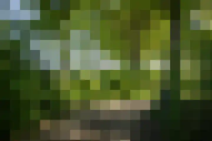 Domineesteeg 2 Gorssel thumbnail 22