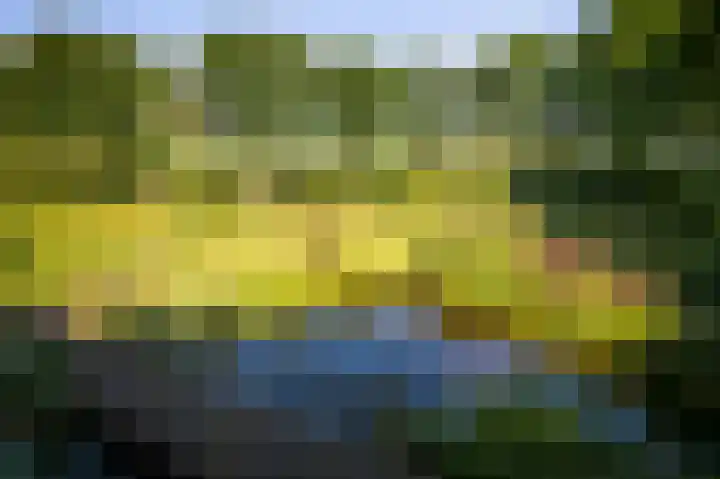 Domineesteeg 2 Gorssel thumbnail 23
