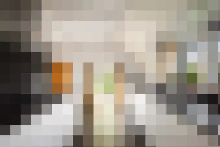 Domineesteeg 2 Gorssel thumbnail 25