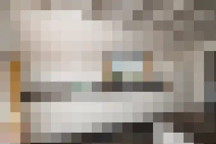 Domineesteeg 2 Gorssel thumbnail 26