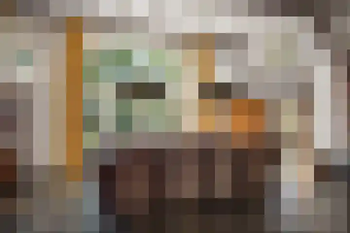 Domineesteeg 2 Gorssel thumbnail 30