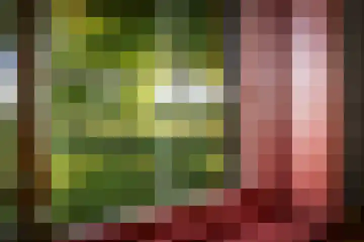 Domineesteeg 2 Gorssel thumbnail 33