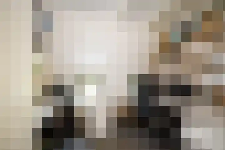 Domineesteeg 2 Gorssel thumbnail 36