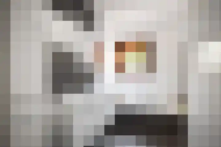 Domineesteeg 2 Gorssel thumbnail 37