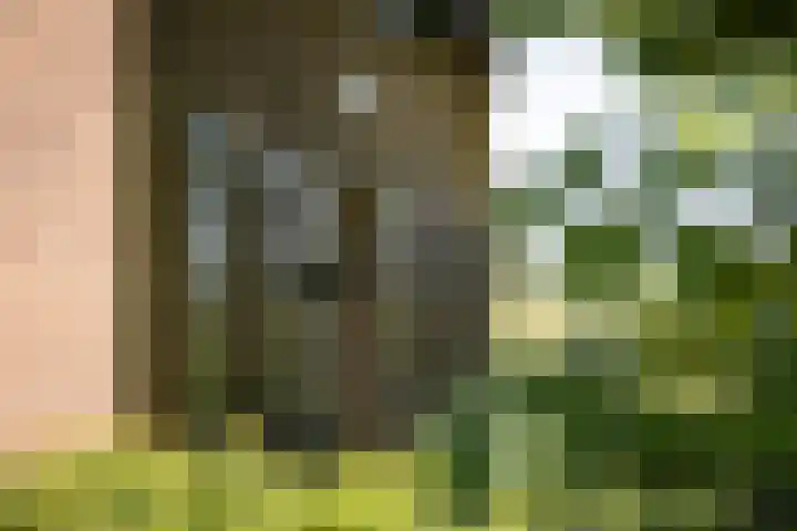 Domineesteeg 2 Gorssel thumbnail 4