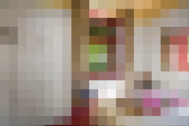 Domineesteeg 2 Gorssel thumbnail 41