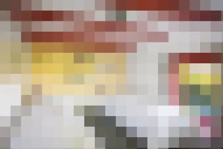 Domineesteeg 2 Gorssel thumbnail 42