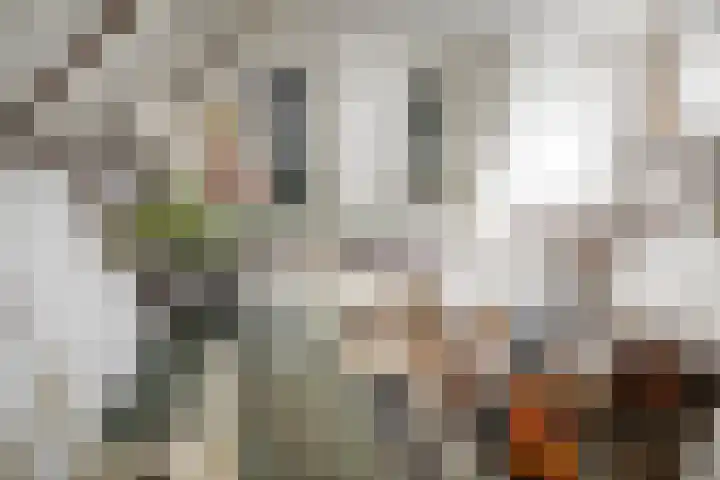 Domineesteeg 2 Gorssel thumbnail 45