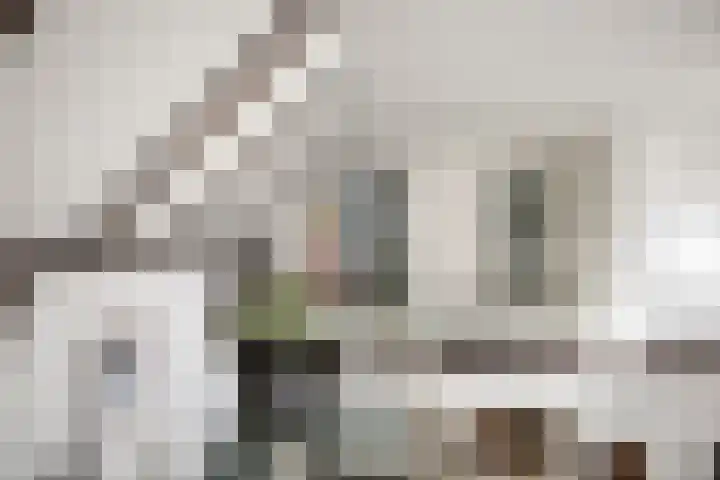 Domineesteeg 2 Gorssel thumbnail 46