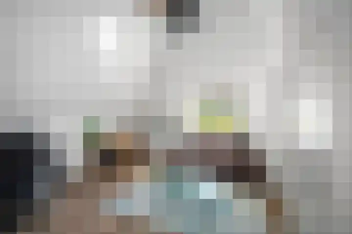 Domineesteeg 2 Gorssel thumbnail 47