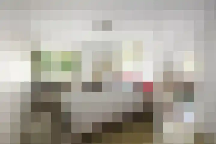 Domineesteeg 2 Gorssel thumbnail 48