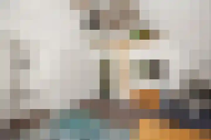 Domineesteeg 2 Gorssel thumbnail 51