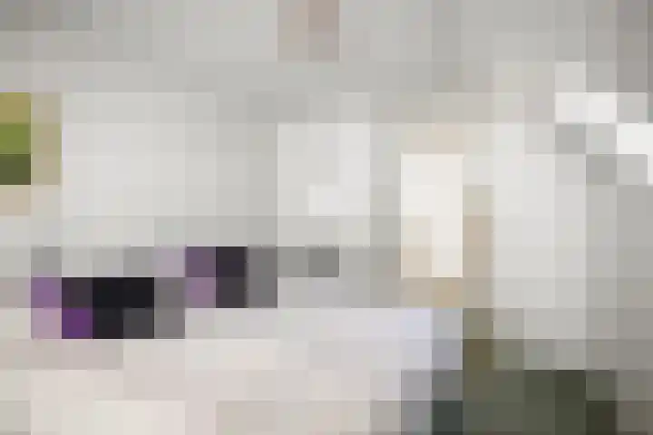 Domineesteeg 2 Gorssel thumbnail 52