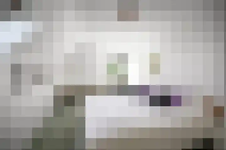 Domineesteeg 2 Gorssel thumbnail 53