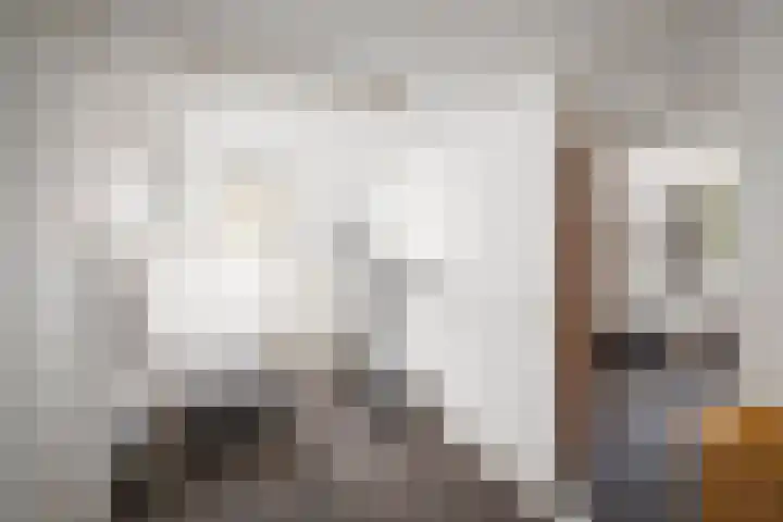 Domineesteeg 2 Gorssel thumbnail 56