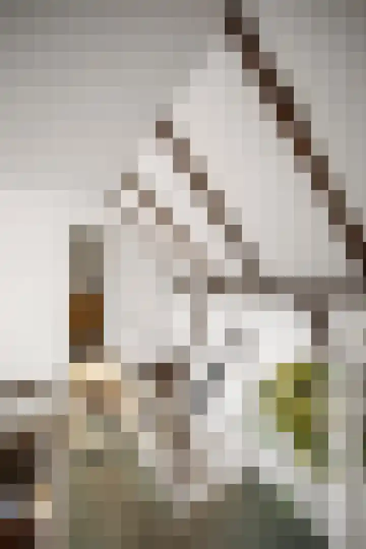 Domineesteeg 2 Gorssel thumbnail 57