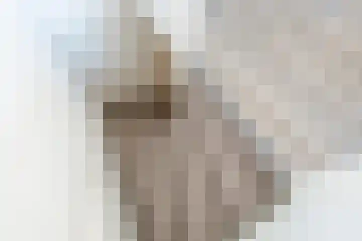 Domineesteeg 2 Gorssel thumbnail 58