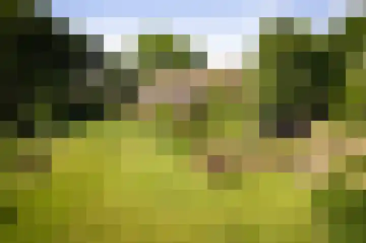 Domineesteeg 2 Gorssel thumbnail 59